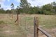 Photo - "Santa Glen" 513 Norton Road, Boynedale QLD 4680 - Image 9