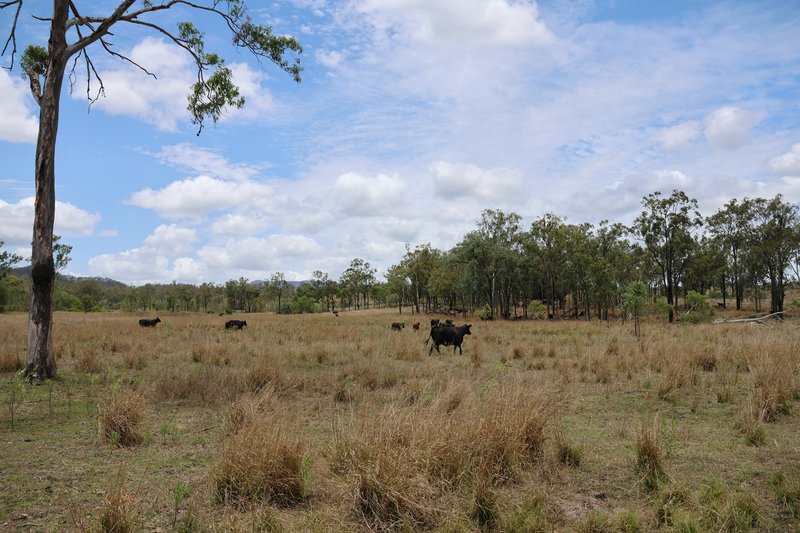 Photo - "Santa Glen" 513 Norton Road, Boynedale QLD 4680 - Image 14