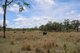 Photo - "Santa Glen" 513 Norton Road, Boynedale QLD 4680 - Image 14