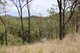 Photo - "Santa Glen" 513 Norton Road, Boynedale QLD 4680 - Image 17