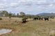 Photo - "Santa Glen" 513 Norton Road, Boynedale QLD 4680 - Image 19