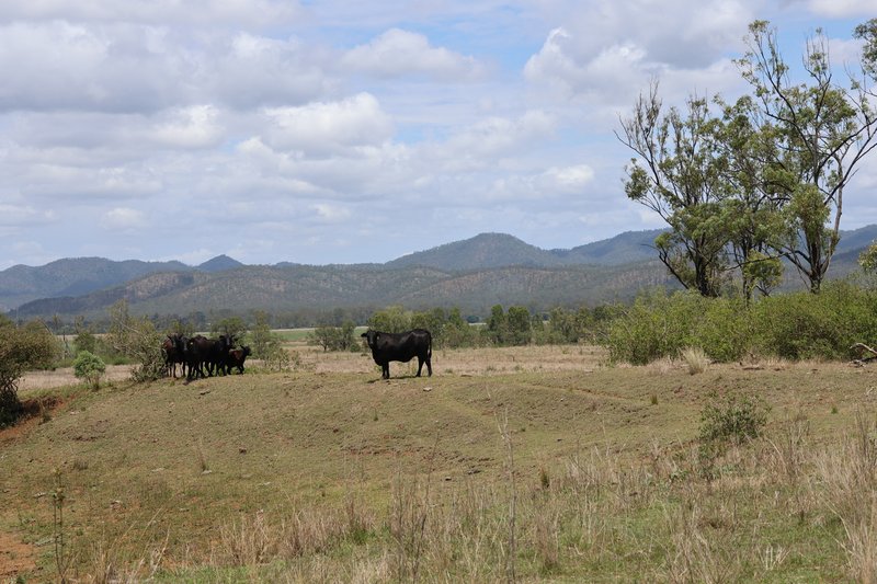 Photo - "Santa Glen" 513 Norton Road, Boynedale QLD 4680 - Image 20