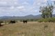 Photo - "Santa Glen" 513 Norton Road, Boynedale QLD 4680 - Image 20