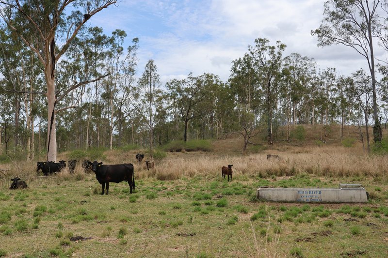 Photo - "Santa Glen" 513 Norton Road, Boynedale QLD 4680 - Image 30