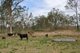 Photo - "Santa Glen" 513 Norton Road, Boynedale QLD 4680 - Image 30