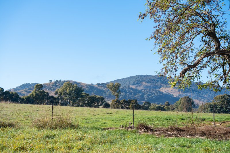 Photo - . Scholz Road, Allans Flat VIC 3691 - Image 10