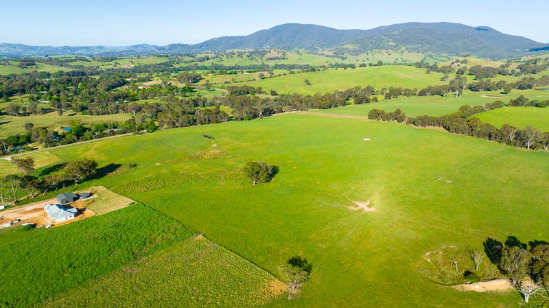 Photo - . Scholz Road, Allans Flat VIC 3691 - Image 12