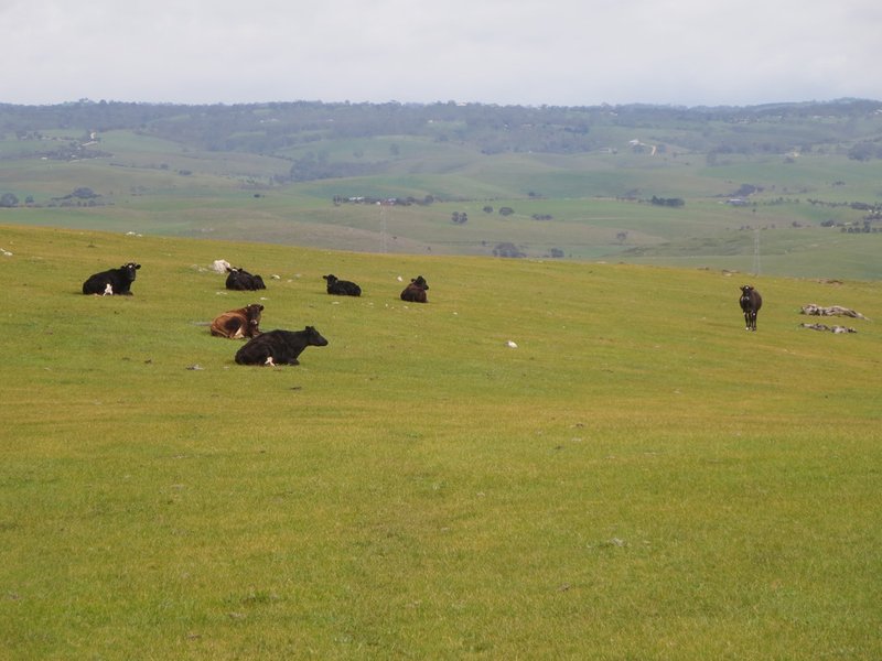 Photo - Sec 9115 Bremer Valley And Bondleigh Road, Rockleigh SA 5254 - Image 4