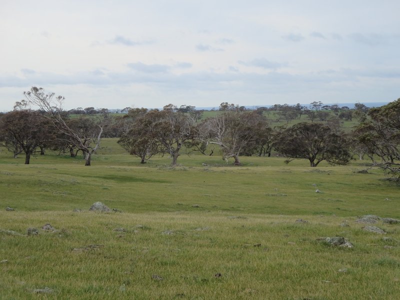 Photo - Sec 9115 Bremer Valley And Bondleigh Road, Rockleigh SA 5254 - Image 10