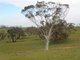 Photo - Sec 9115 Bremer Valley And Bondleigh Road, Rockleigh SA 5254 - Image 11