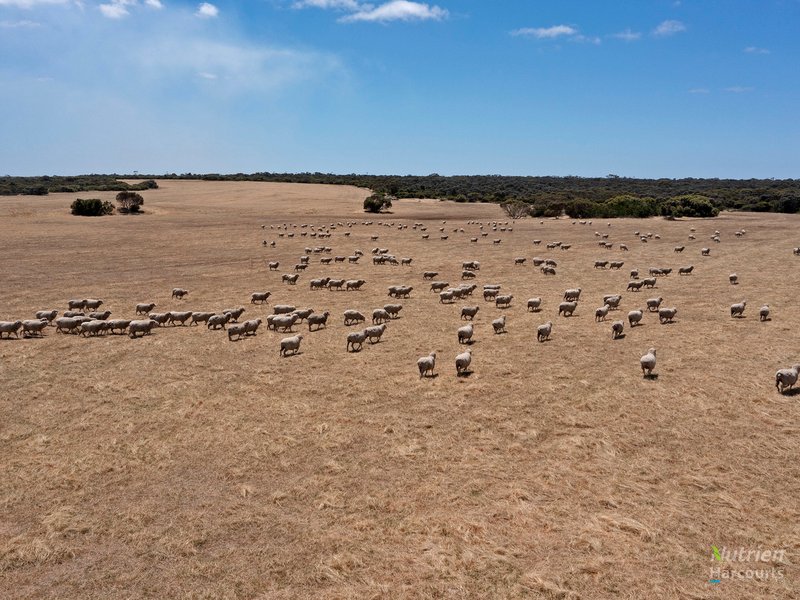 Photo - Sect. 137 Wild Dog Hill Road, Warooka SA 5577 - Image 8