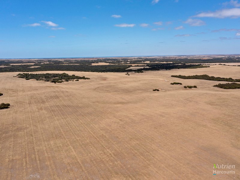 Photo - Sect. 137 Wild Dog Hill Road, Warooka SA 5577 - Image 13