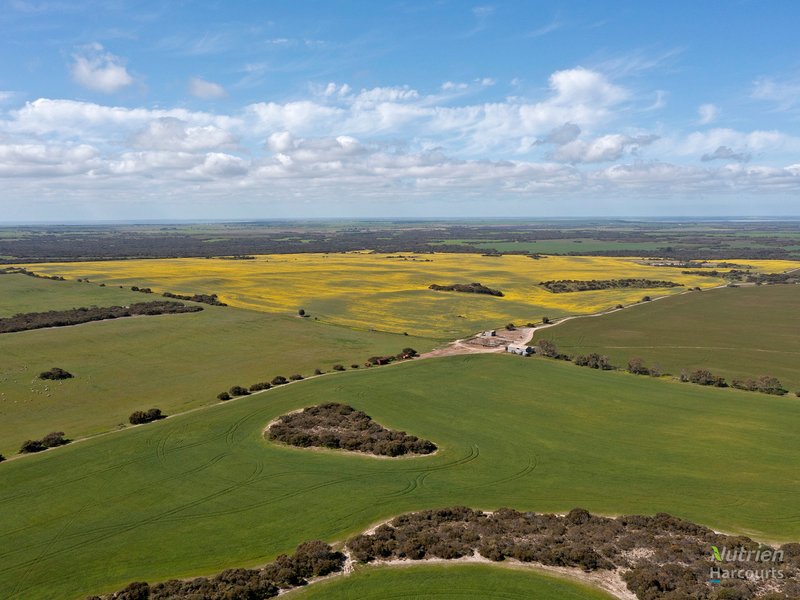 Photo - Sect. 137 Wild Dog Hill Road, Warooka SA 5577 - Image 15