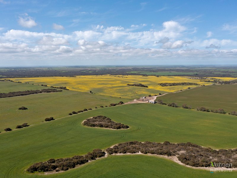 Photo - Sect. 137 Wild Dog Hill Road, Warooka SA 5577 - Image 16