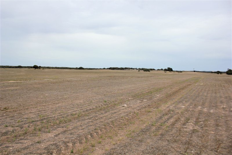 Photo - Sect. 138 Lower White Hut Road, White Hut SA 5575 - Image 3