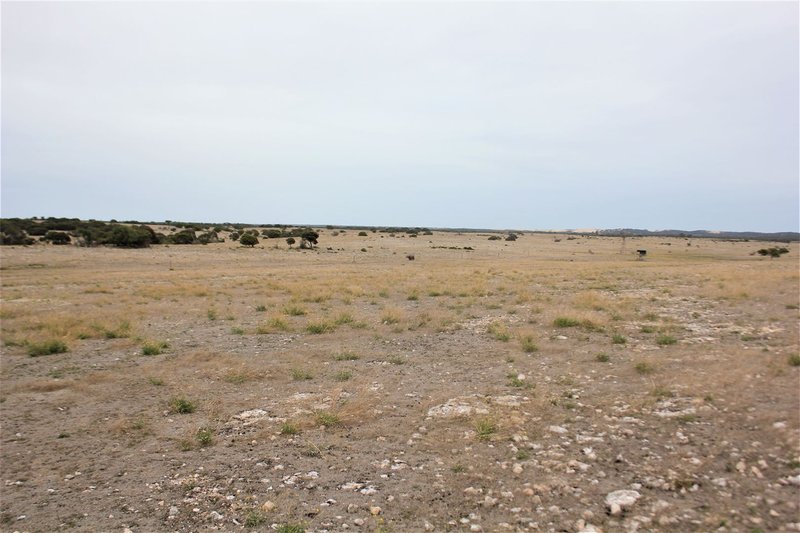 Photo - Sect. 138 Lower White Hut Road, White Hut SA 5575 - Image 5