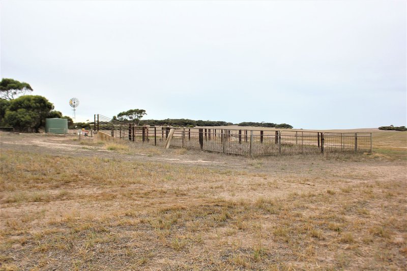 Photo - Sect. 138 Lower White Hut Road, White Hut SA 5575 - Image 7