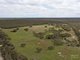 Photo - Sect. 146 Yorke Highway, Warooka SA 5577 - Image 3