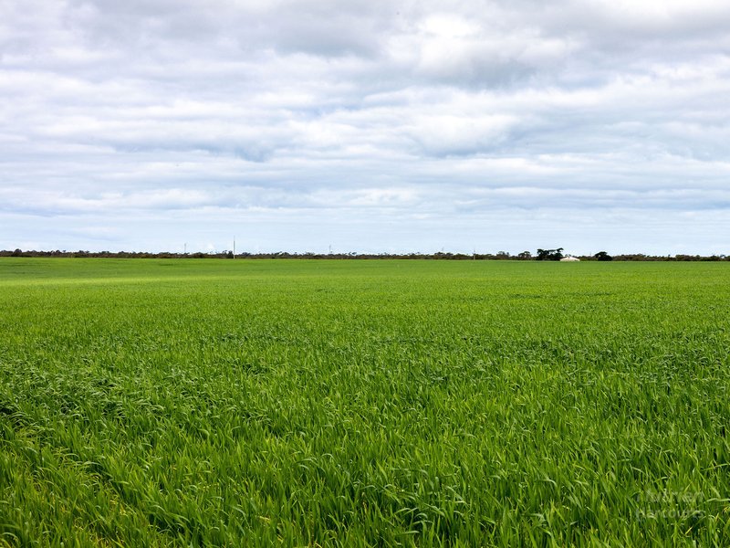 Photo - Sect. 176 Weavers North Road, Ramsay SA 5575 - Image 4