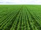 Photo - Sect. 176 Weavers North Road, Ramsay SA 5575 - Image 6