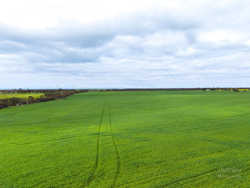 Photo - Sect. 176 Weavers North Road, Ramsay SA 5575 - Image 10