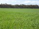 Photo - Sect 519 Flagstaff Rd , Murray Bridge SA 5253 - Image 4