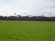 Photo - Sect 519 Flagstaff Rd , Murray Bridge SA 5253 - Image 11