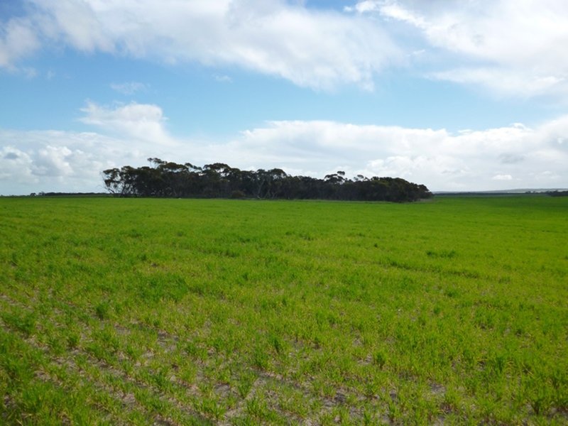 Photo - Sect 519 Flagstaff Rd , Murray Bridge SA 5253 - Image 25