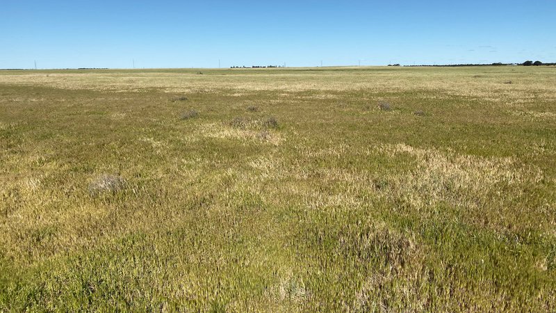 Photo - Sect 75 & 76 Karralta Road, Cooke Plains SA 5261 - Image 5