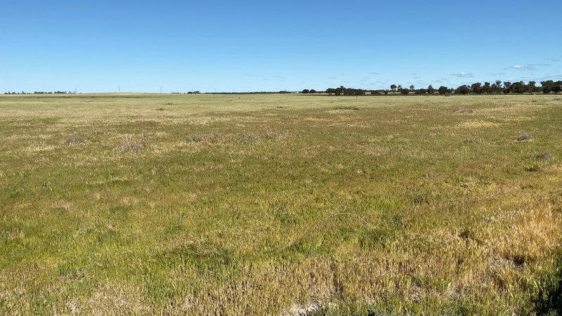 Photo - Sect 75 & 76 Karralta Road, Cooke Plains SA 5261 - Image 6