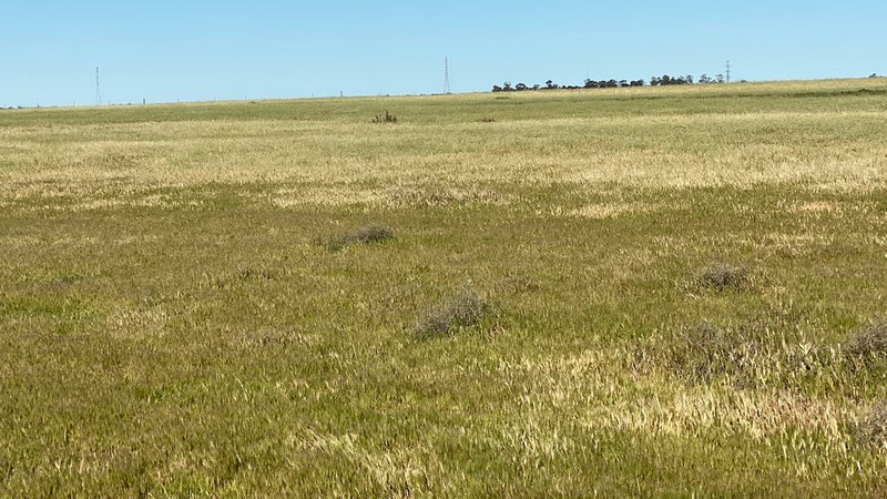 Photo - Sect 75 & 76 Karralta Road, Cooke Plains SA 5261 - Image 9