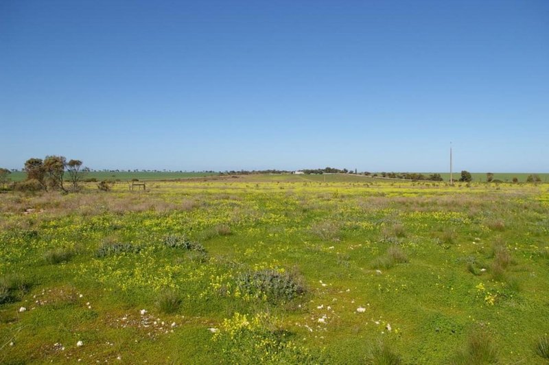 Photo - Section 1455 Spencer Highway, Wallaroo SA 5556 - Image 5