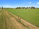 Photo - Section 1506 Arthurton Road, Moonta SA 5558 - Image 6