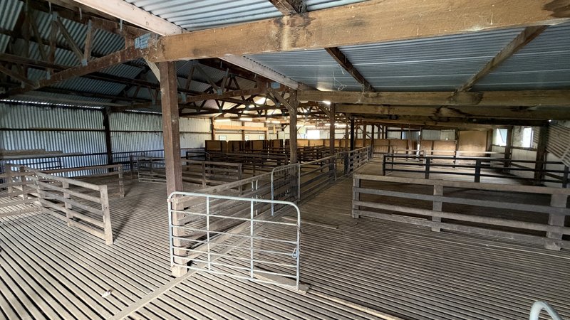 Photo - Section 21 Badmans Road, Frances SA 5262 - Image 9