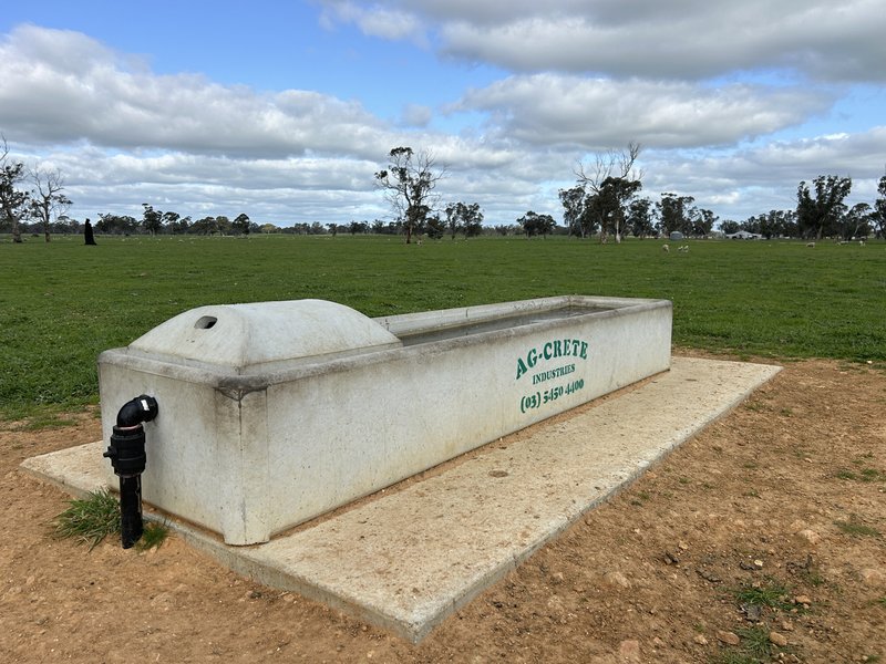 Photo - Section 21 Badmans Road, Frances SA 5262 - Image 11