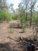 Photo - Section 32 Hundred Of Berinka , Daly River NT 0822 - Image 4