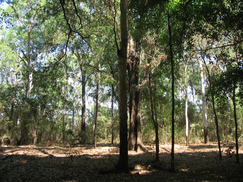 Photo - Section 32 Hundred Of Berinka , Daly River NT 0822 - Image 8