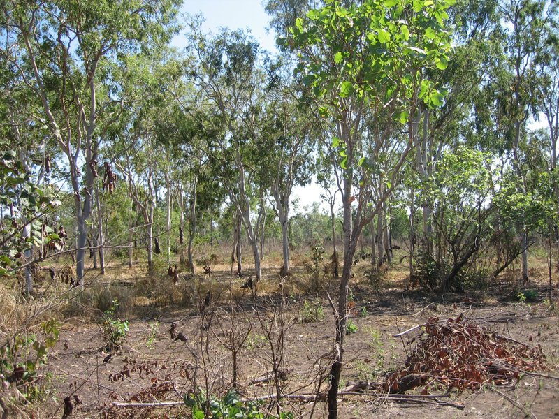 Photo - Section 32 Hundred Of Berinka , Daly River NT 0822 - Image 10