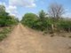 Photo - Section 32 Hundred Of Berinka , Daly River NT 0822 - Image 11