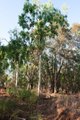 Photo - Section 32 Hundred Of Berinka , Daly River NT 0822 - Image 17