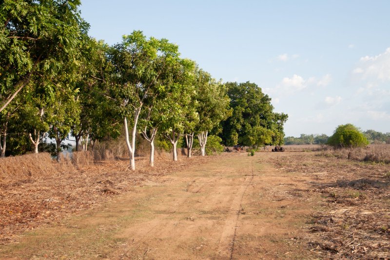 Photo - Section 32 Hundred Of Berinka , Daly River NT 0822 - Image 20