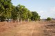 Photo - Section 32 Hundred Of Berinka , Daly River NT 0822 - Image 20