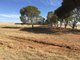 Photo - Section 350 Ingram Gap Road, Redhill SA 5521 - Image 1