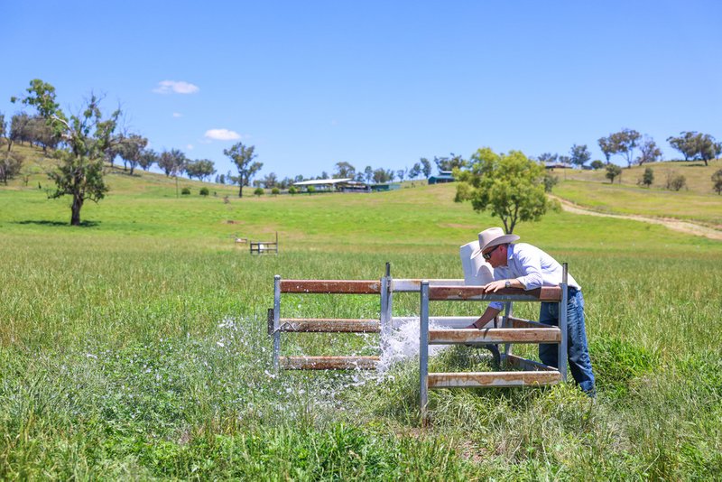 Photo - Serendipity 183 Fishers Lane, Tamworth NSW 2340 - Image 26