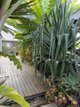 Photo - Shailer Park QLD 4128 - Image 11