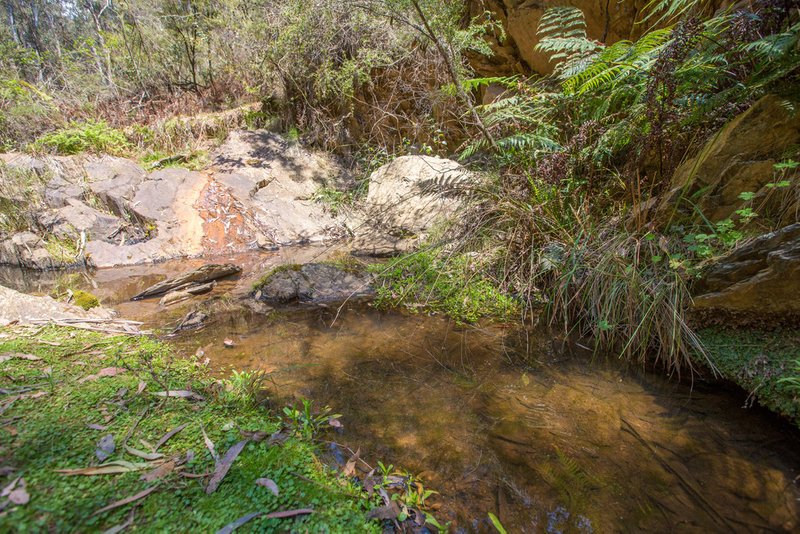 'Shelven Glen', 1221 Nowendoc Road, Niangala NSW 2354