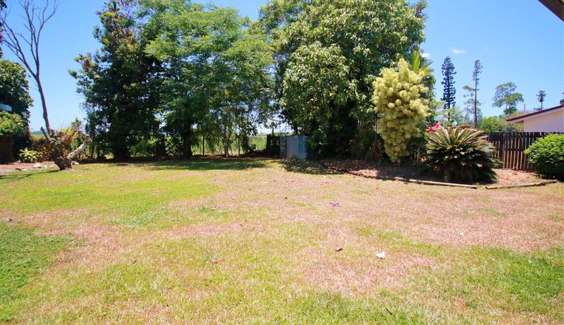 Photo - Silkwood QLD 4856 - Image 11