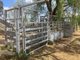 Photo - "Silverleigh" 267 Kingsthorpe Silverleigh Road, Yalangur QLD 4352 - Image 11