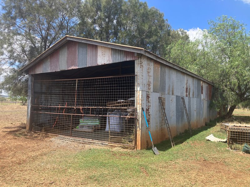 Photo - "Silverleigh" 267 Kingsthorpe Silverleigh Road, Yalangur QLD 4352 - Image 16