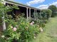 Photo - "Silverleigh" 267 Kingsthorpe Silverleigh Road, Yalangur QLD 4352 - Image 23